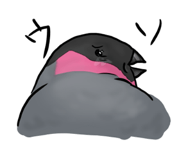 Young Java Sparrow sticker #3010388