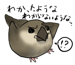 Young Java Sparrow sticker #3010396