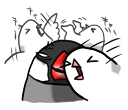 Young Java Sparrow sticker #3010397