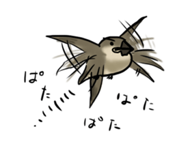 Young Java Sparrow sticker #3010400