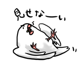 Young Java Sparrow sticker #3010404