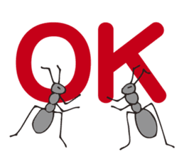 One day of a worker ant sticker #3011091