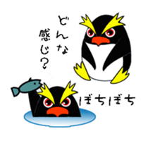 Easygoing rockhopper penguin sticker #3011899