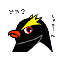 Easygoing rockhopper penguin sticker #3011914