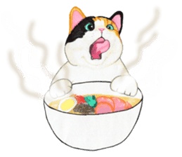 Calico cat's Diary sticker #3012059