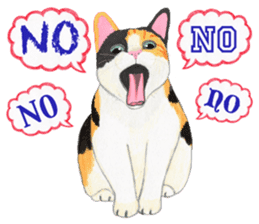 Calico cat's Diary sticker #3012068