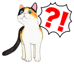 Calico cat's Diary sticker #3012075
