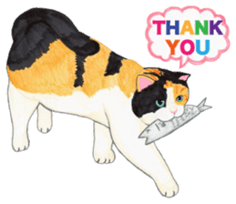 Calico cat's Diary sticker #3012079