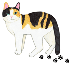 Calico cat's Diary sticker #3012083