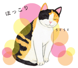 Calico cat's Diary sticker #3012086