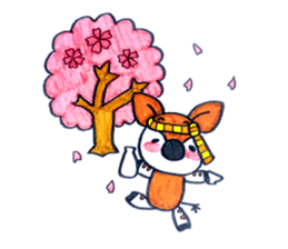 One year of the OKAPIN sticker #3012662