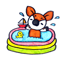 One year of the OKAPIN sticker #3012673