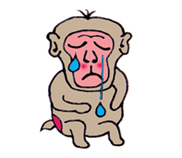 Jie monkey sticker #3013038
