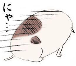 The shin cat sticker #3013230