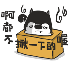 Ha Ha Husky sticker #3013291