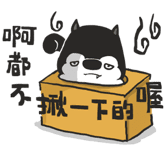 Ha Ha Husky sticker #3013291