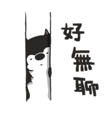 Ha Ha Husky sticker #3013298