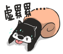 Ha Ha Husky sticker #3013300