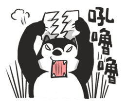 Ha Ha Husky sticker #3013308
