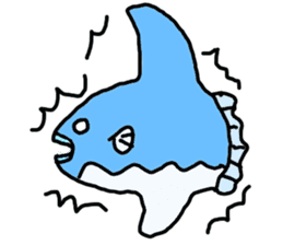 Mr. mambo of an ocean sunfish sticker #3013580