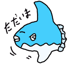 Mr. mambo of an ocean sunfish sticker #3013588