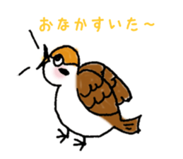 Cute sparrow "Chunkichi" sticker #3014375