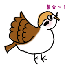 Cute sparrow "Chunkichi" sticker #3014391