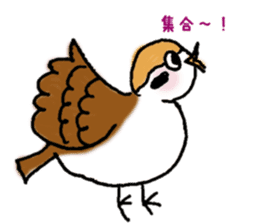 Cute sparrow "Chunkichi" sticker #3014391
