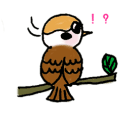 Cute sparrow "Chunkichi" sticker #3014394