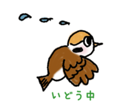 Cute sparrow "Chunkichi" sticker #3014396