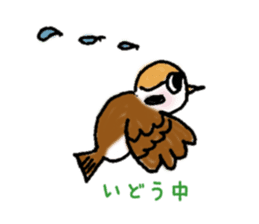 Cute sparrow "Chunkichi" sticker #3014396