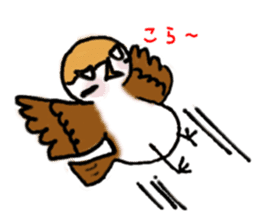 Cute sparrow "Chunkichi" sticker #3014399
