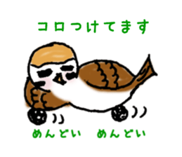 Cute sparrow "Chunkichi" sticker #3014408