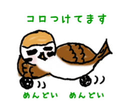 Cute sparrow "Chunkichi" sticker #3014408