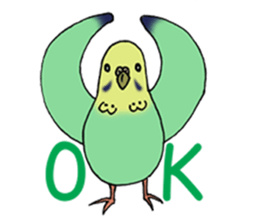 A-kichi