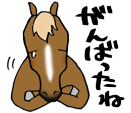Message from horse sticker #3014524