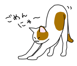 Cat to refuse sticker #3014931