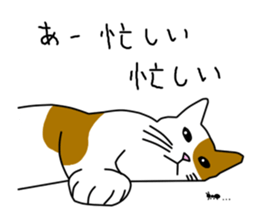 Cat to refuse sticker #3014939