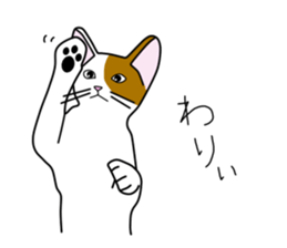 Cat to refuse sticker #3014941