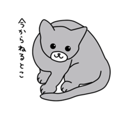 Cat to refuse sticker #3014949