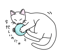 Cat to refuse sticker #3014950