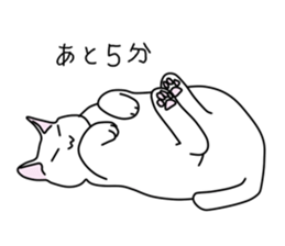 Cat to refuse sticker #3014955