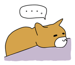 Cat to refuse sticker #3014959