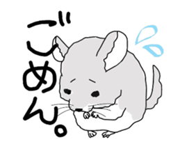 chinchillasan sticker #3017175
