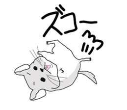 chinchillasan sticker #3017181