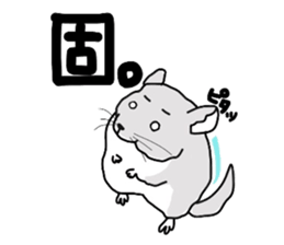 chinchillasan sticker #3017185