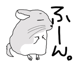 chinchillasan sticker #3017186