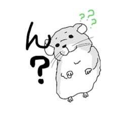 chinchillasan sticker #3017201