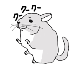 chinchillasan sticker #3017202