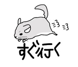 chinchillasan sticker #3017205
